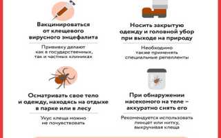 Как не стать жертвой насекомых