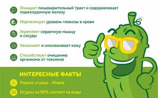 Уникальные полезные свойства огурцов, о которых мало кто знает и догадывается