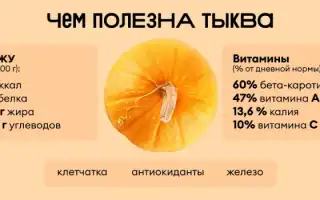 Почему обязательно нужно есть тыкву и чем она удивительна полезна для тела