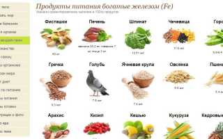 Железо в продуктах — полный перечень продуктов, богатых железом