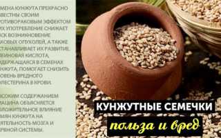 Семена кунжута — полезные свойства для красоты и здоровья