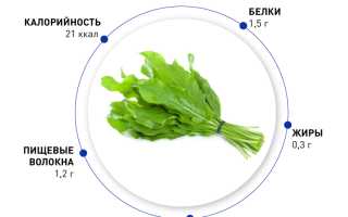 Чем полезен щавель и почему его нельзя есть в вареном виде?