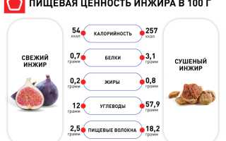 Полезные свойства  инжира — плодов райского дерева для нашего здоровья