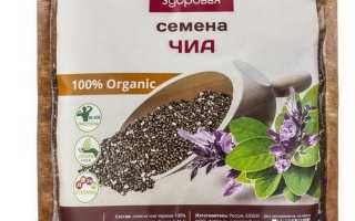 Семена чиа — полезный компонент для здоровых десертов
