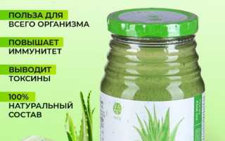 Целебный алоэ с медом — лучшие рецепты приготовления  и способы применения