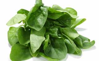 10 самых полезных продуктов для здоровья