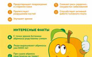 Почему нужно обязательно есть абрикосы  и чем они так полезны для нашего тела?