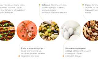 Чем грозит дефицит белка в организме