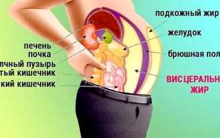 3 причины возникновения висцерального жира на животе