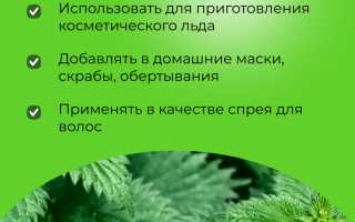 Как применять крапиву для лица — крапивные секреты красоты