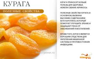 Необыкновенные полезные свойства обыкновенной кураги для нашего здоровья
