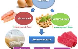 Зачем нужны белки в нашем питании и что происходит, если их не хватает?