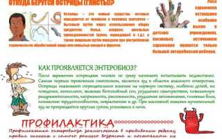 Энтеробиоз карантин в детском саду