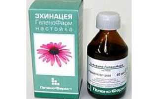 Трава эхинацея — натуральное суперсредство для повышения иммунитета!