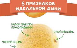 В чем польза дыни  для нашего здоровья и зачем ее обязательно нужно есть ?
