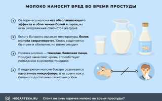 Как применять молоко с медом при простуде правильно и эффективно?