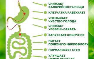 Клетчатка поможет похудеть и снизить уровень сахара в крови