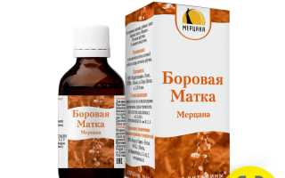 Боровая матка: лечение бесплодия и женских болезней