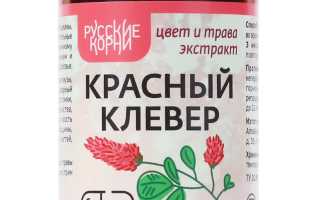 Красный клевер — секреты применения при женских заболеваниях