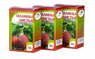 Малиновые листья — дар природы для женского здоровья и продолжения рода