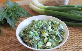 Что можно приготовить из крапивы —  полезные рецепты на любой вкус