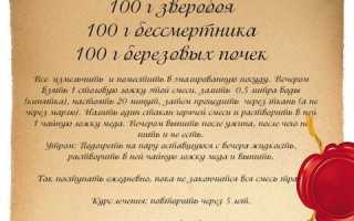 Лечебные свойства березовых почек и применение — Тибетский эликсир молодости