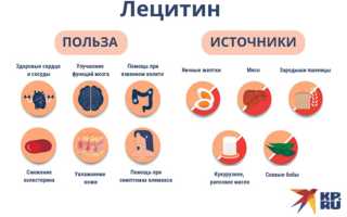Лецитин в продуктах, польза лецитина или зачем нужно часто есть куриные яйца?