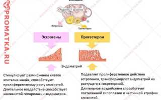 Через сколько после Визанны начинаются месячные