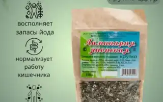 Морская капуста для похудения -секреты  эффективного применения