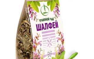 Шалфей или греческий чай