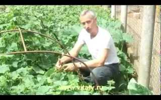 Глина дарит силу земли