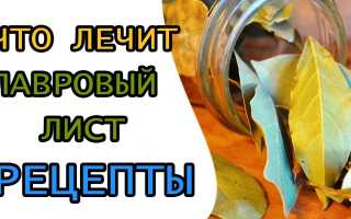 Отвар из лаврушки для красоты и здоровья — как приготовить и принимать?