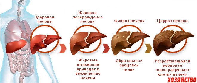 пеерождение.jpg