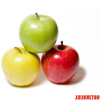 яблоки.jpg