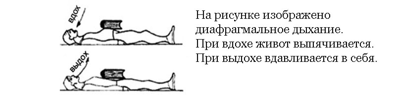 ускорение обмена веществ